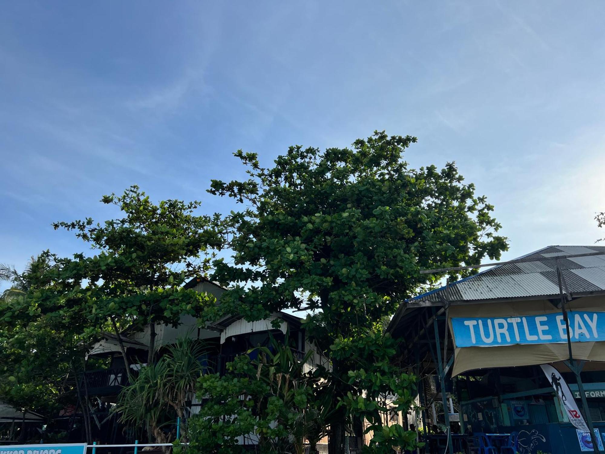 Ohlala Guesthouse Pulau Perhentian Bagian luar foto